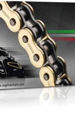 REGINA - 525 137 ZRP 114L G&B - Chains - SPORTBIKE Actieprijs